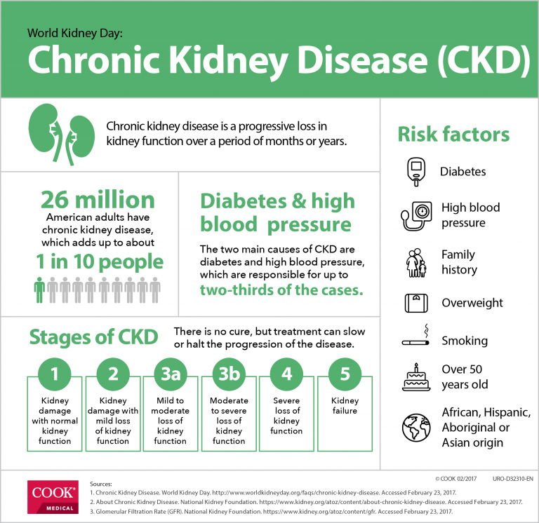 To your (kidneys’) health | Urology