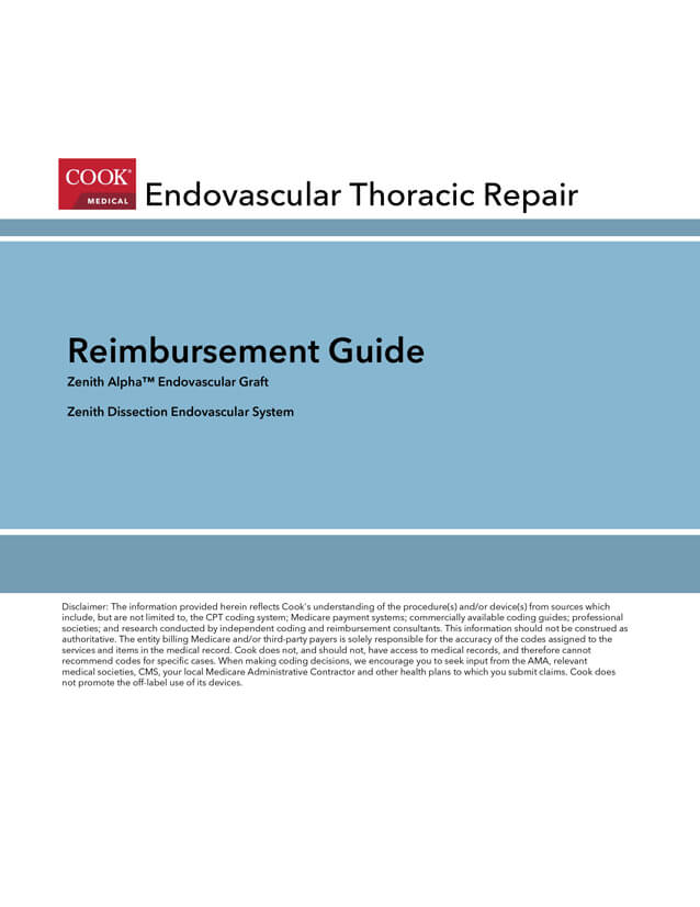 Thoracic repair guide