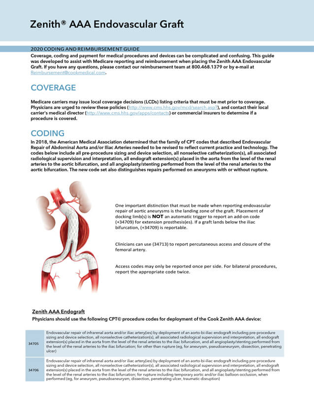 Fenestrated repair guide